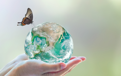 l’arche du reynou – Journée Conservation de la Biodiversité