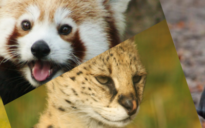 Une journée dédiée aux échanges autour de la biodiversité !